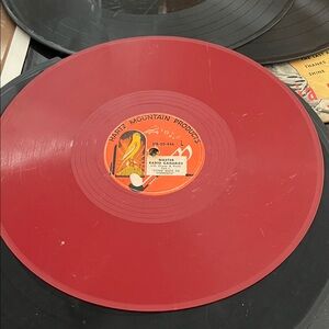 Red Vinyl Record made for birds to talk to each other